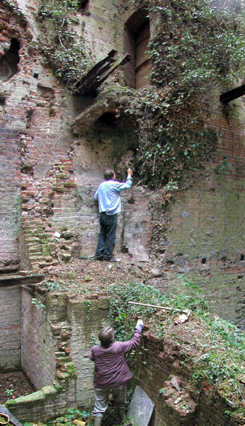 rescuing ruins